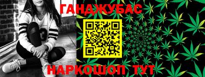 шишки Ставрополь