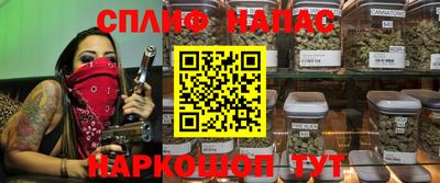 шишки Ставрополь
