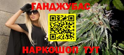 шишки Ставрополь