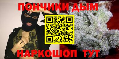 шишки Ставрополь