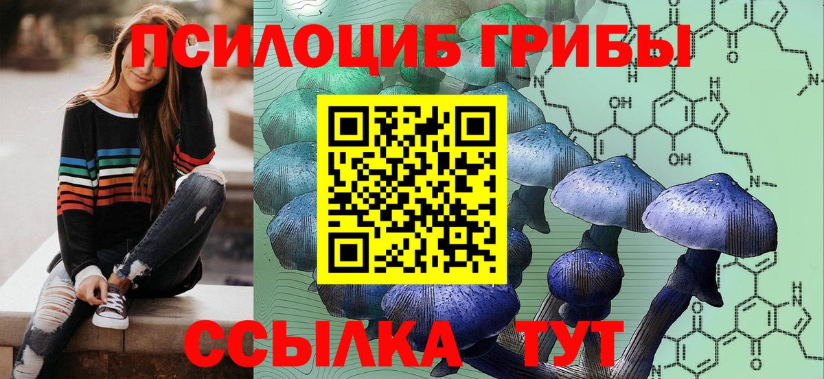 Мценск  дарнет шоп  Вход с VPN  Галлюциногенные грибы прущие грибы 