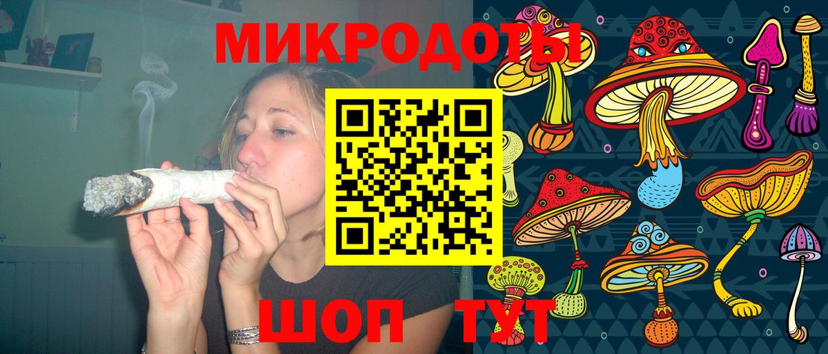 Псилоцибиновые грибы Psilocybe Мценск